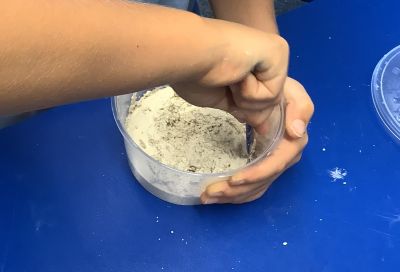 Fossil excavation activity