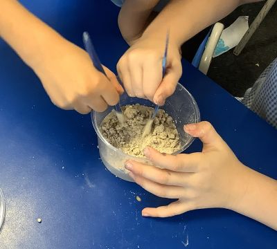 Fossil excavation activity