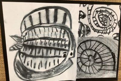 Drawing of fossils