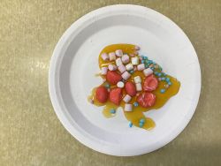 Sweets representing the components of blood