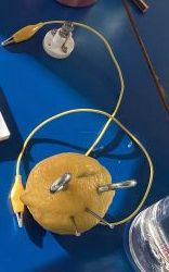 A circuit using a lemon as a power source