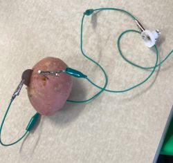 A circuit using a potato as a power source