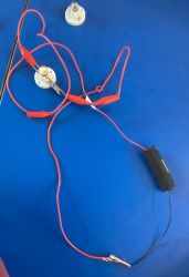 A circuit with a light bulb and a cell