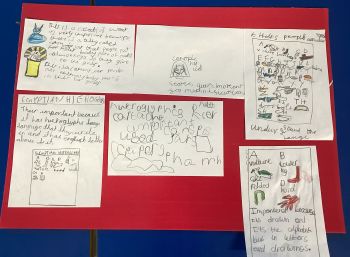 Child's poster about Ancient Egyptian artefacts