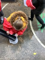 Capacity experiments