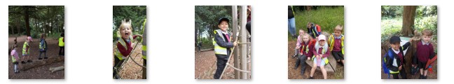 Photos from the trip to Walmer Castle