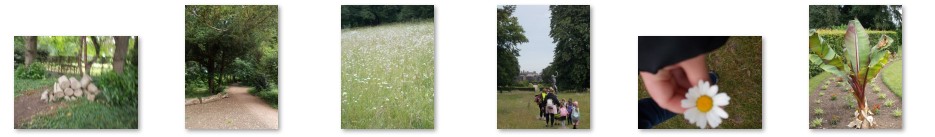 Photos from the trip to Walmer Castle