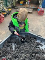 Child planting