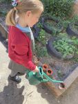 Child planting