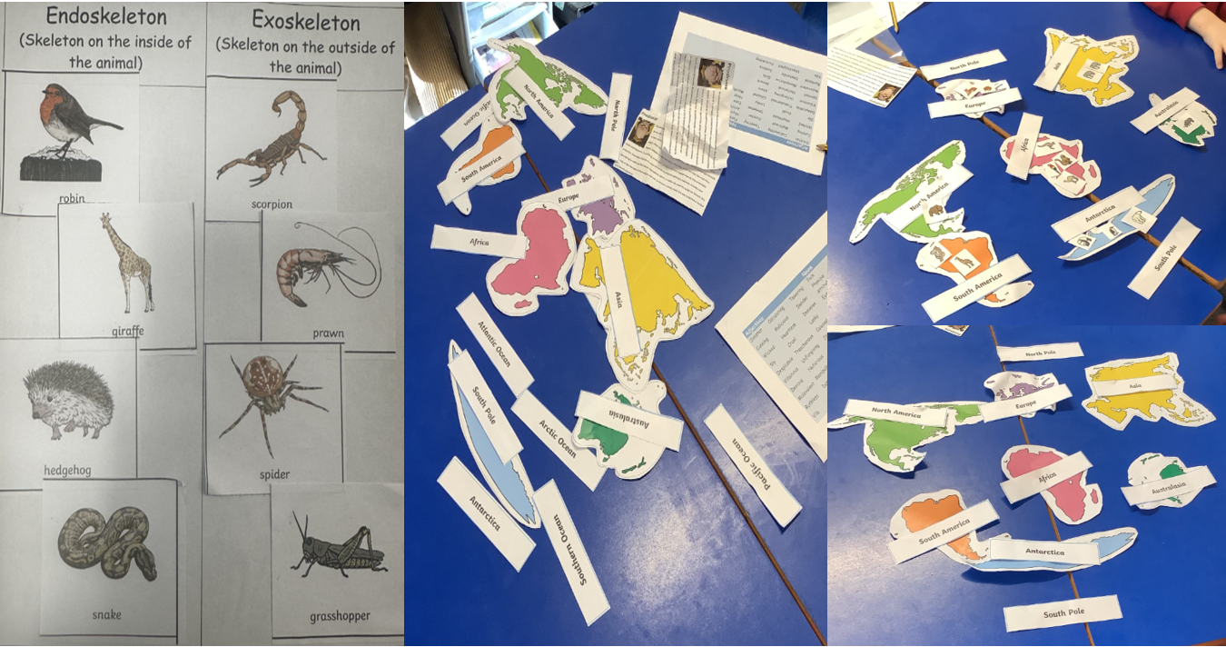 Work done by pupils