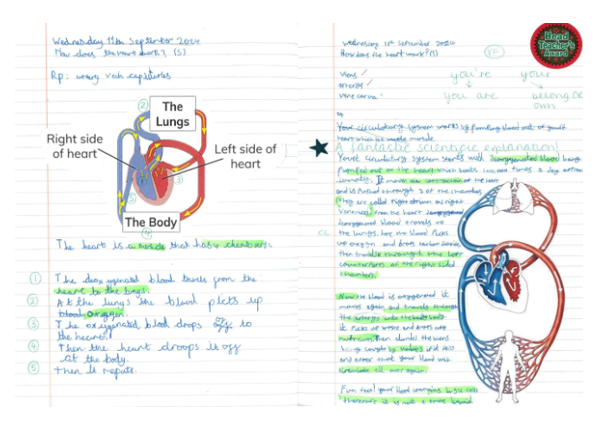 Illustrations of components of blood 