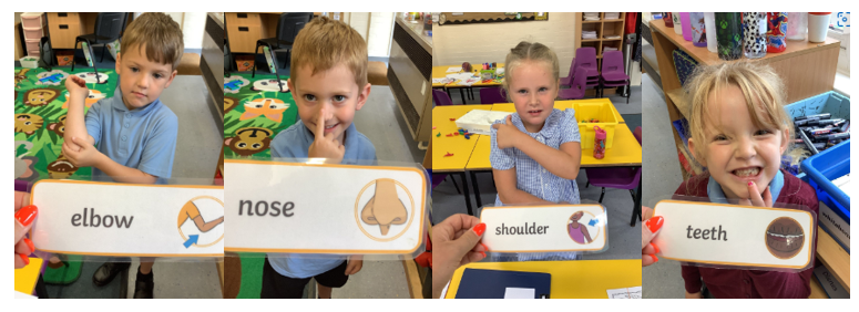 Pupils Learning parts of the bodies 