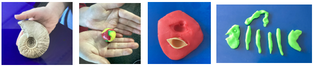 Children's work with fossils