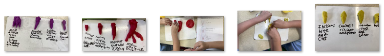 Children creating teeth in playdoh