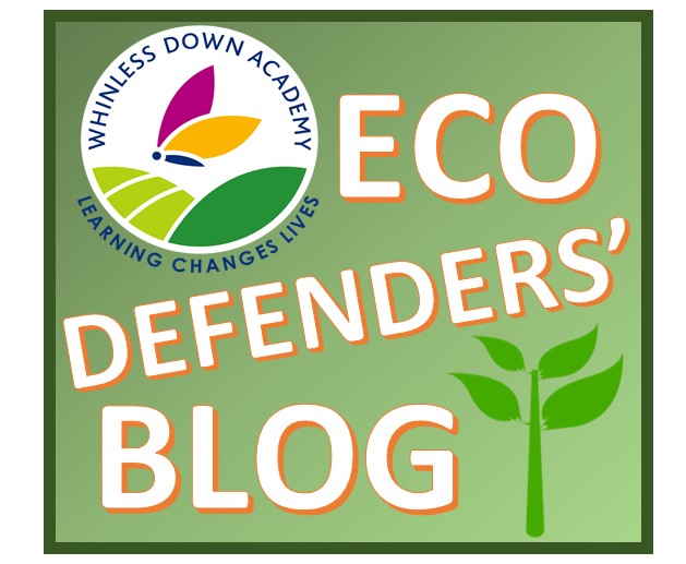 Eco defenders blog graphic