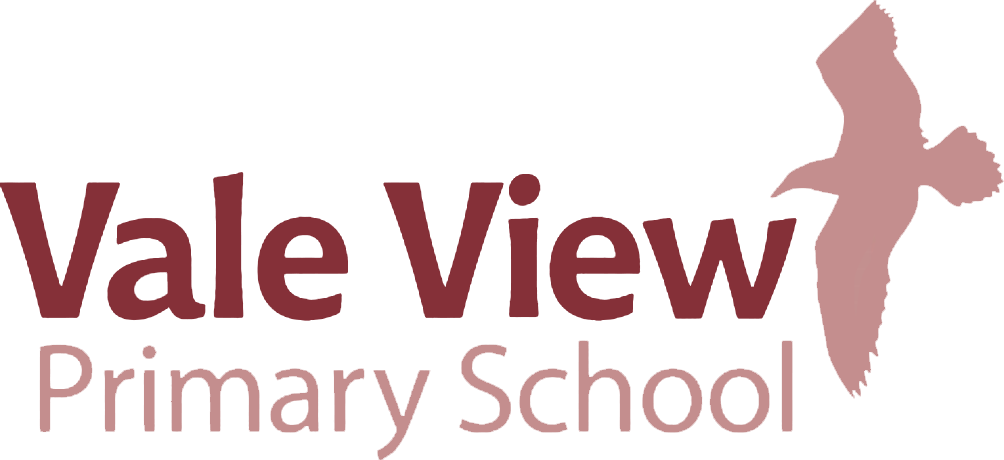 Vale View Primary School
